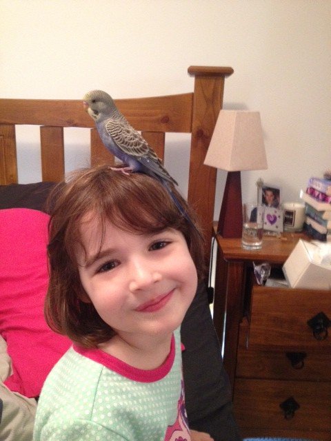 Maddie and Stripe
