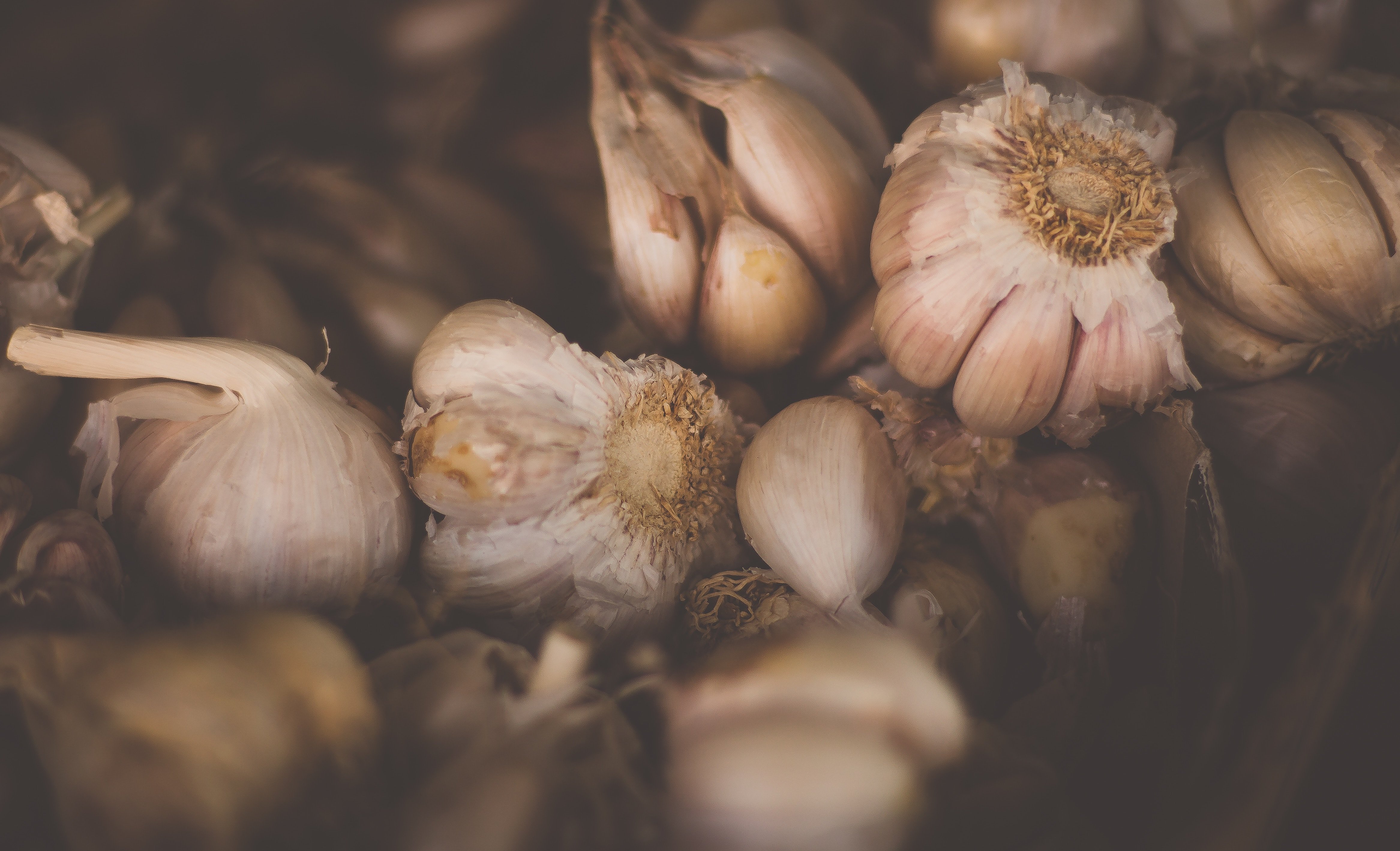 Photo by Anton Darius | Sollers on Unsplash