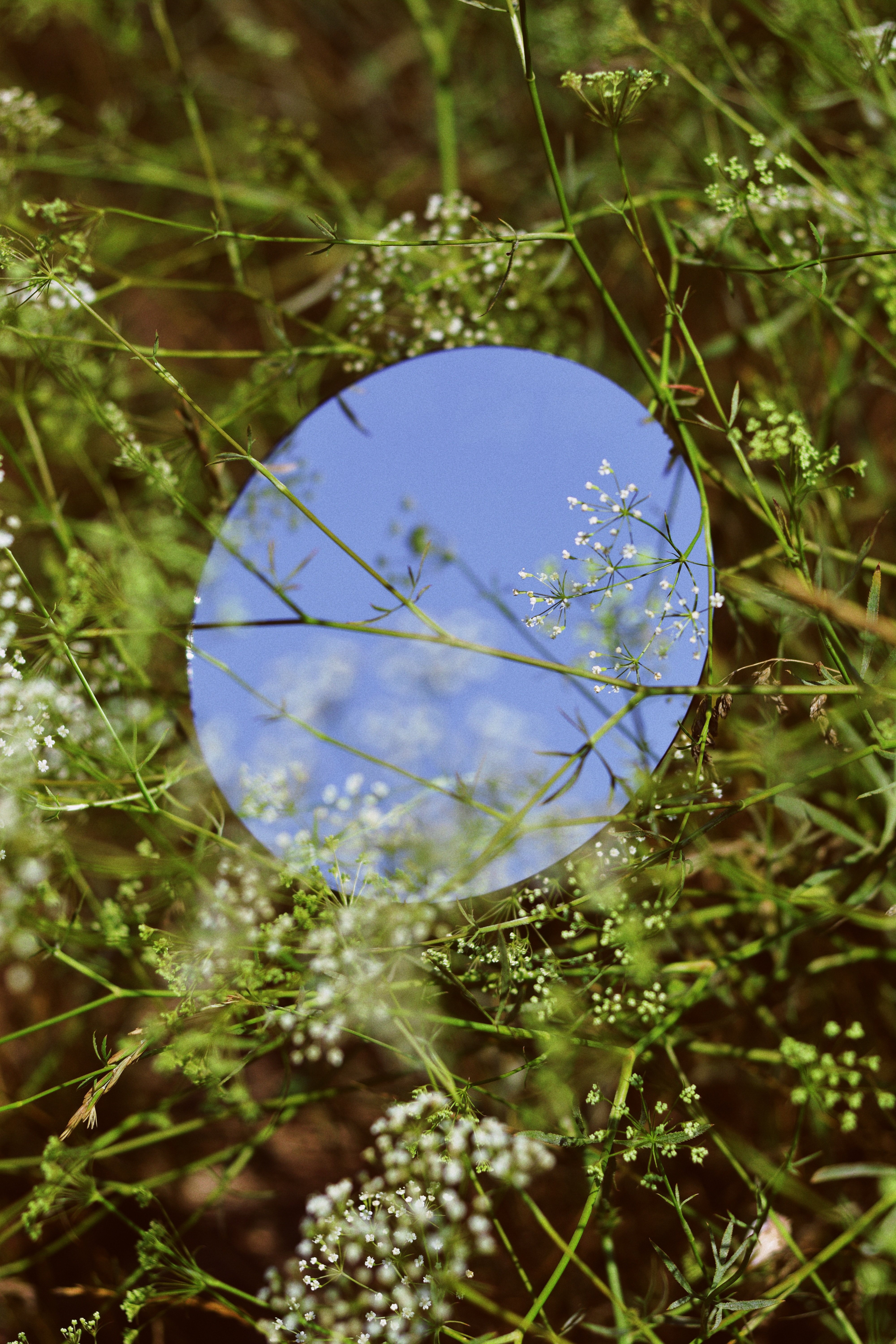 Photo by Dmitry Bayer on Unsplash